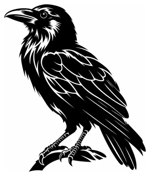 Un corbeau en aplats noirs avec espaces négatifs